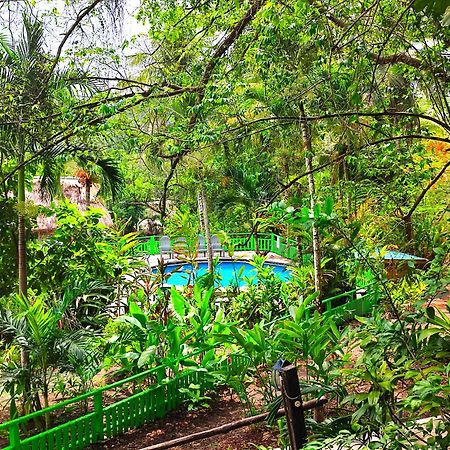 Maya Mountain Lodge ซานอิกนาซิโอ ภายนอก รูปภาพ