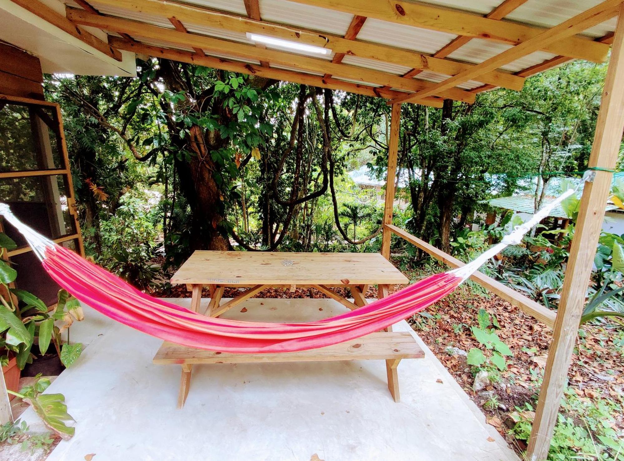 Maya Mountain Lodge ซานอิกนาซิโอ ภายนอก รูปภาพ