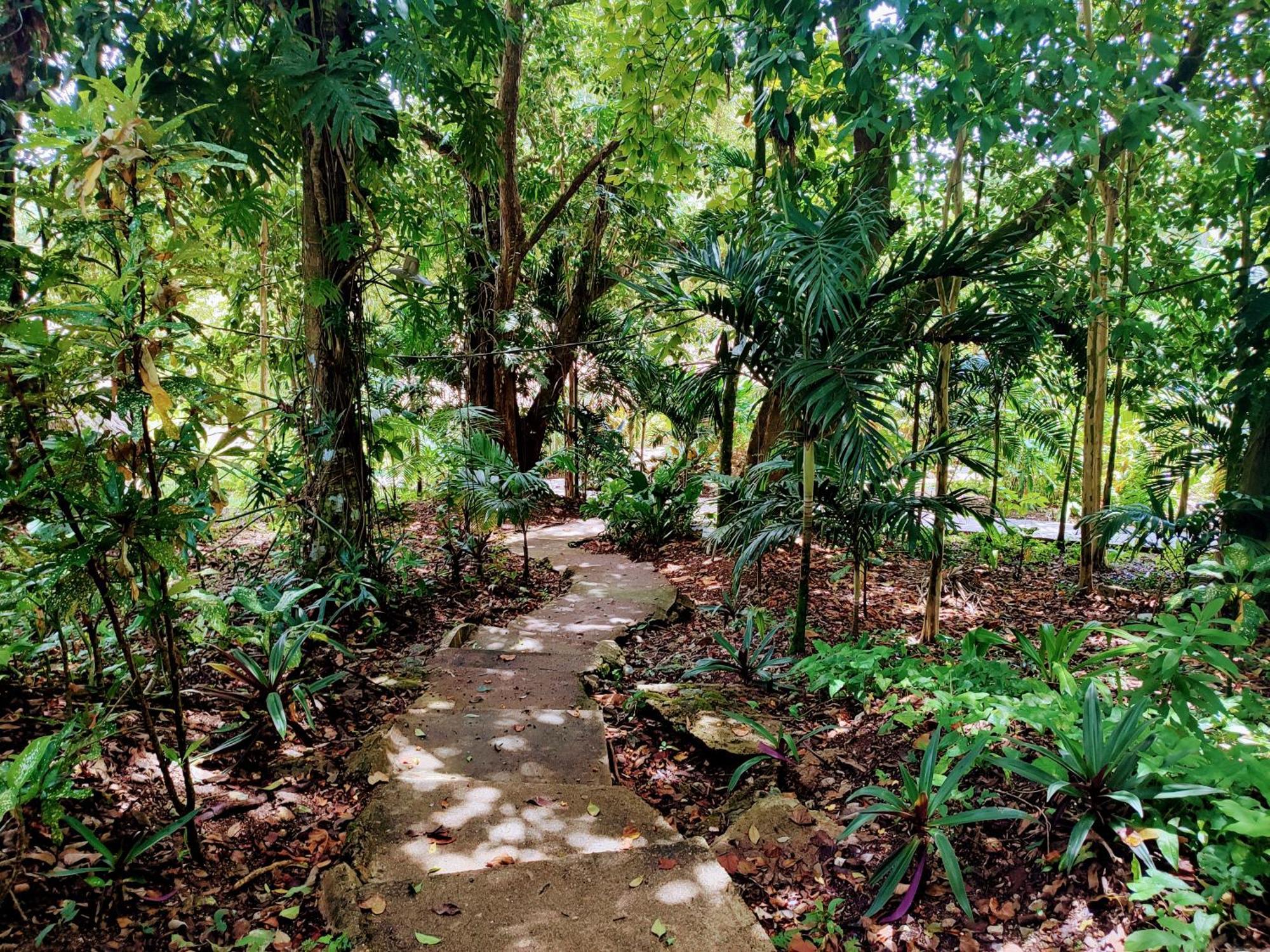 Maya Mountain Lodge ซานอิกนาซิโอ ภายนอก รูปภาพ