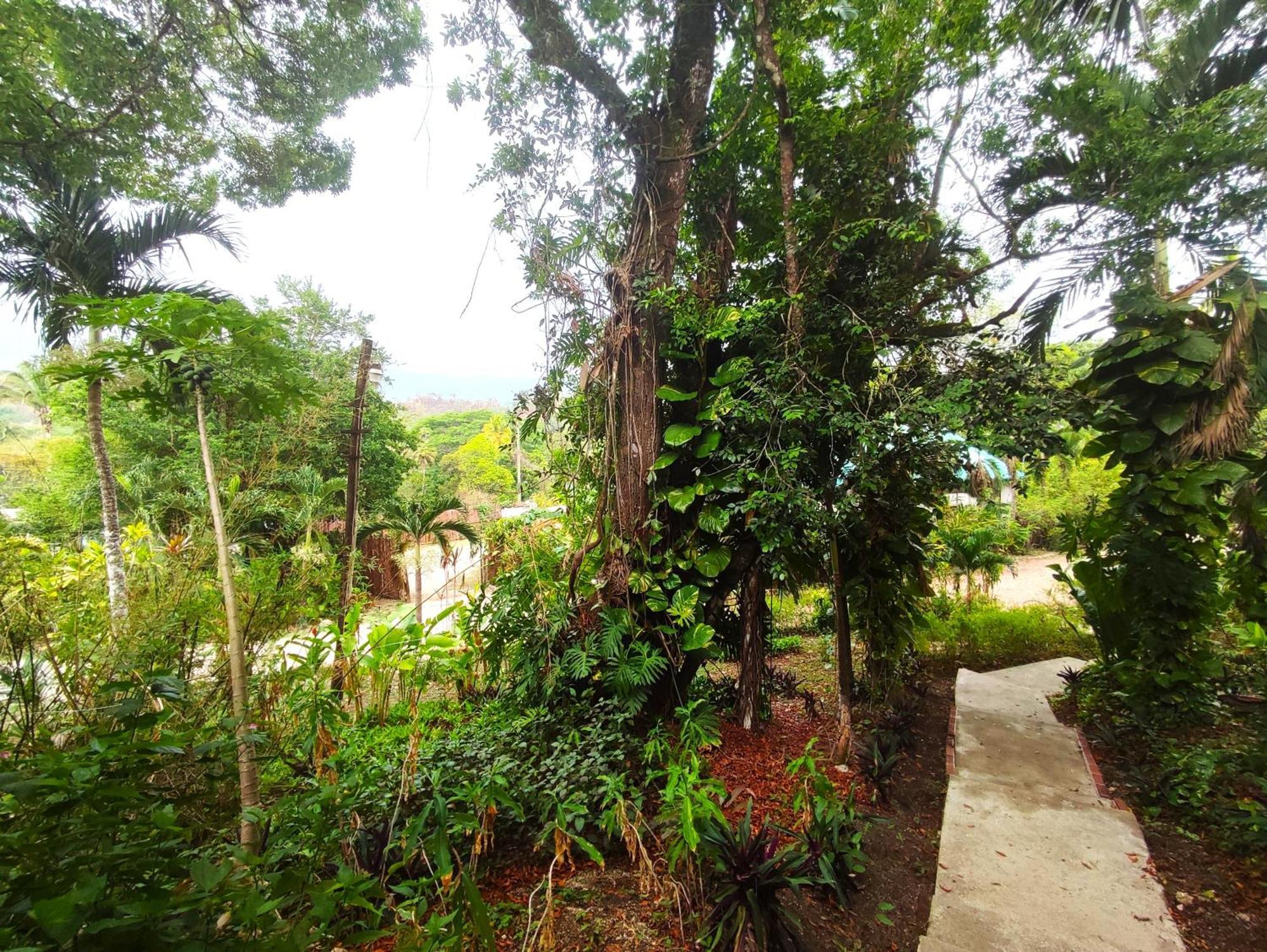 Maya Mountain Lodge ซานอิกนาซิโอ ภายนอก รูปภาพ