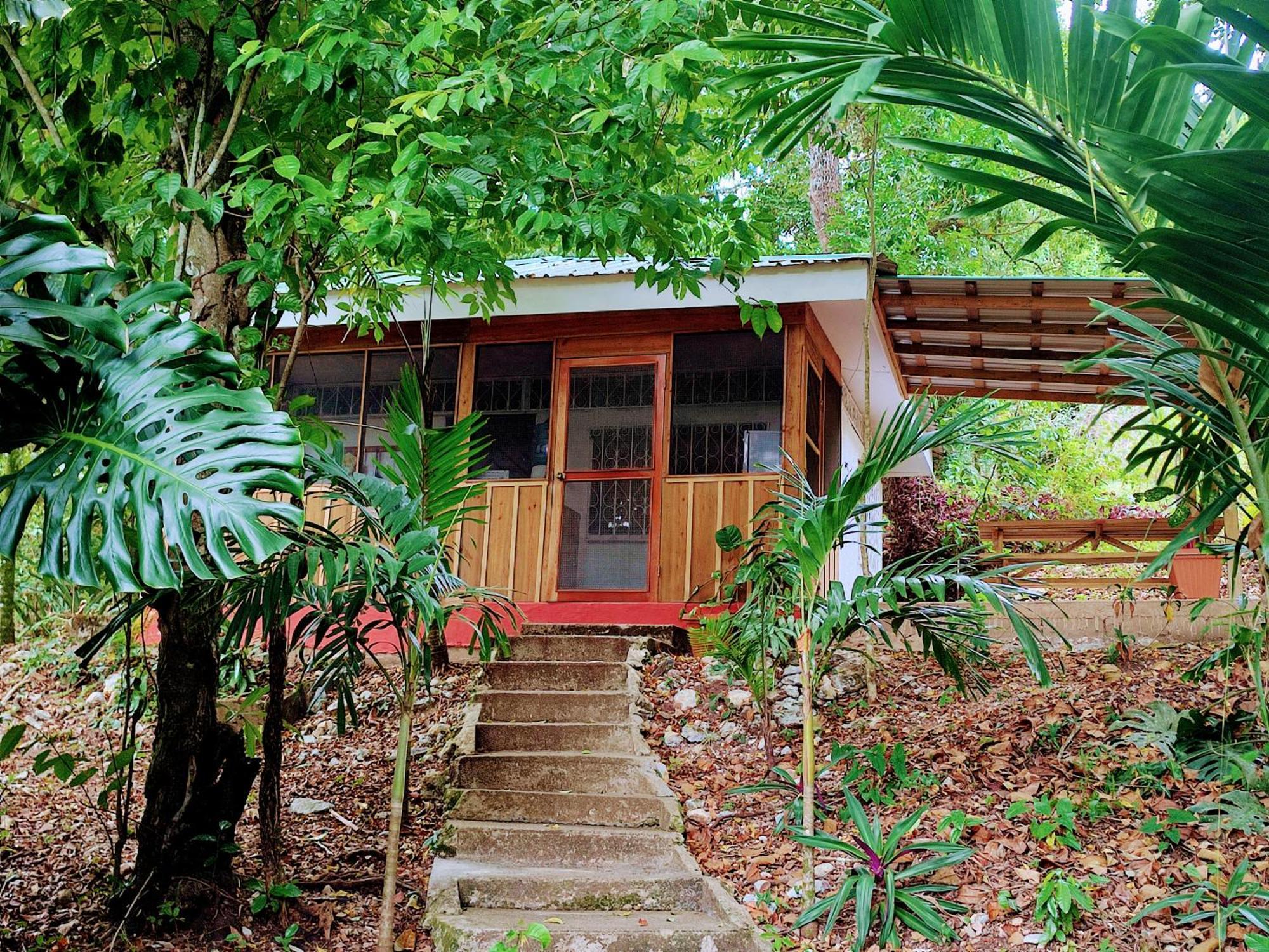 Maya Mountain Lodge ซานอิกนาซิโอ ภายนอก รูปภาพ