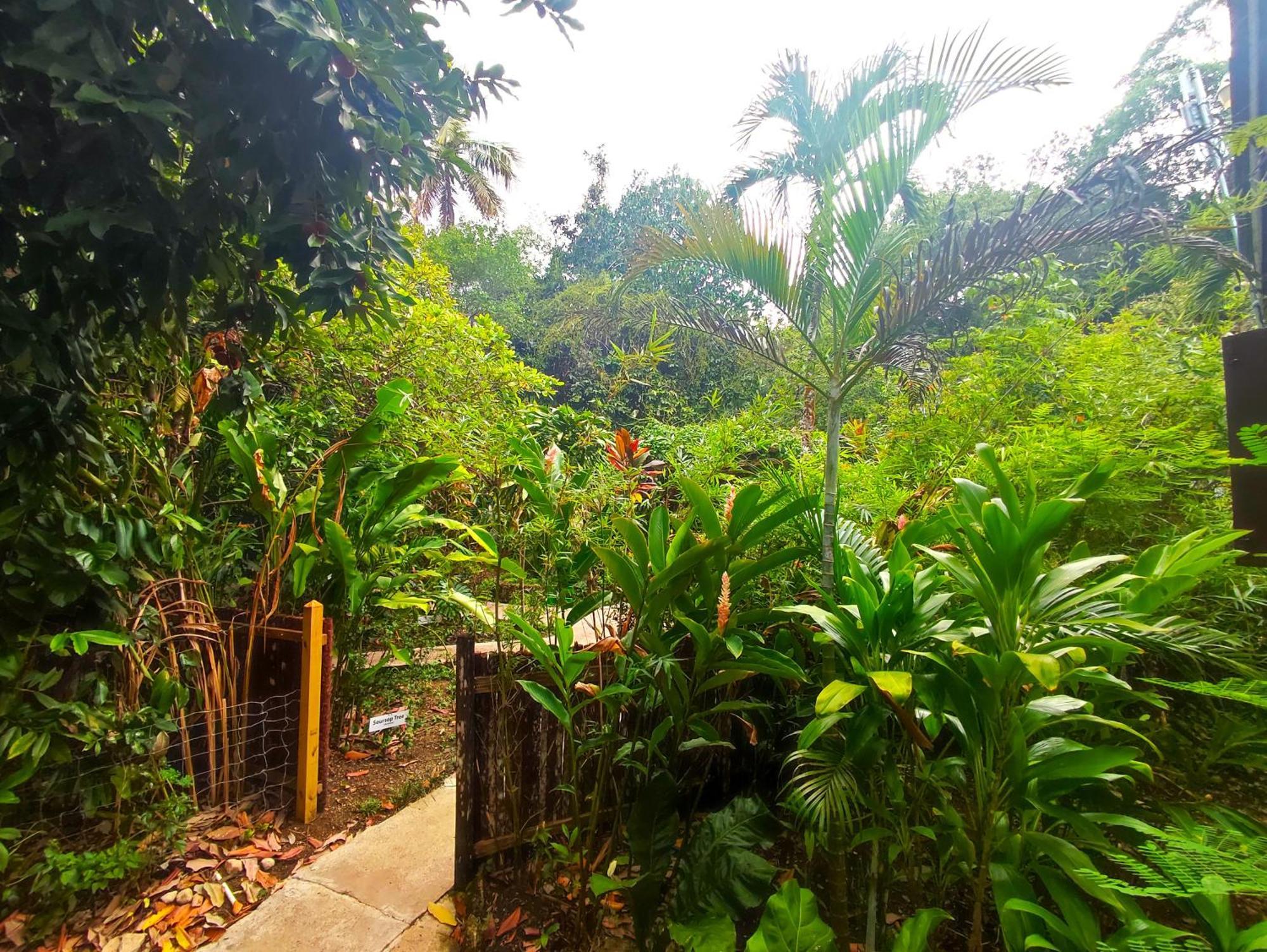 Maya Mountain Lodge ซานอิกนาซิโอ ภายนอก รูปภาพ