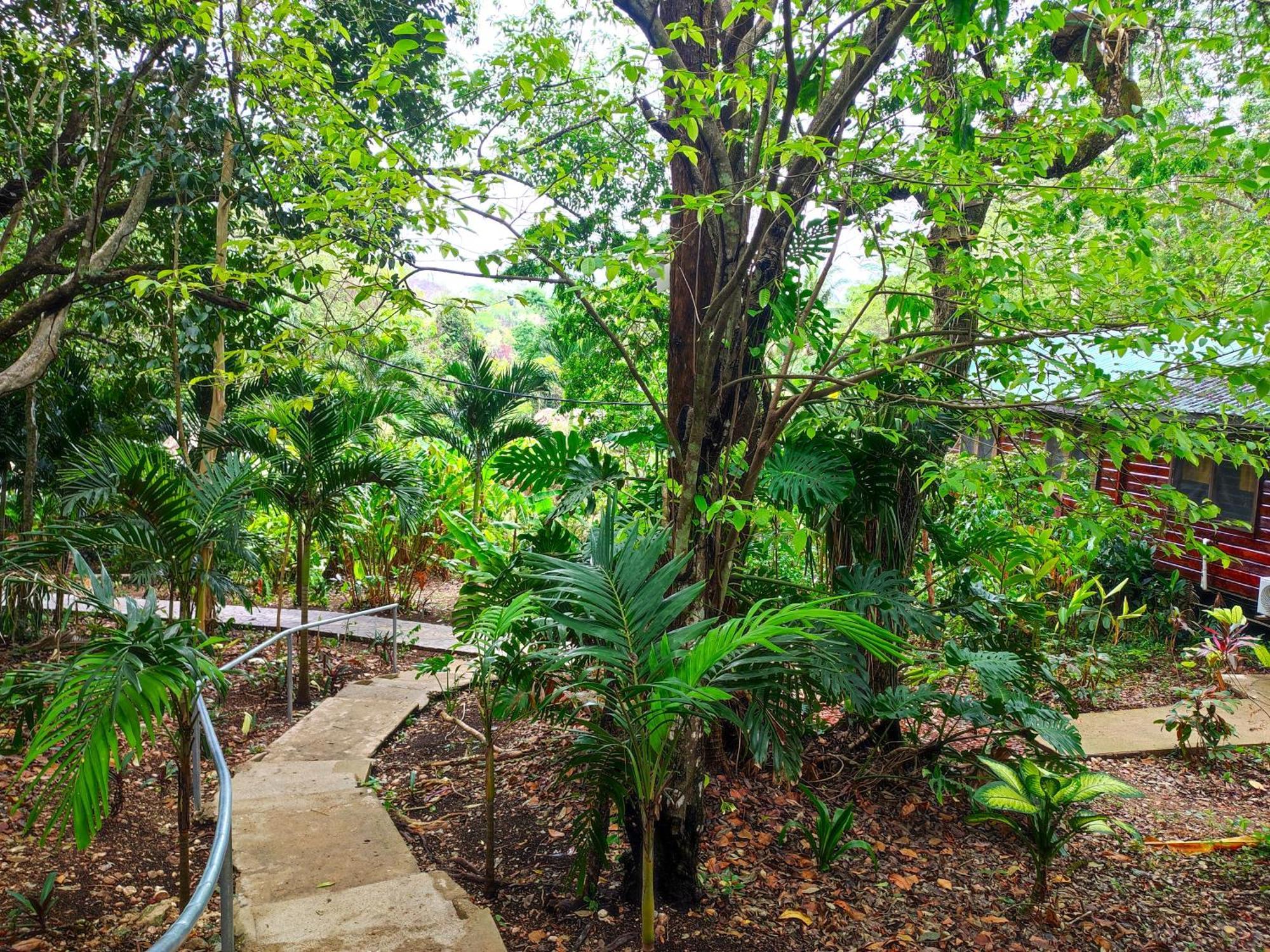 Maya Mountain Lodge ซานอิกนาซิโอ ภายนอก รูปภาพ