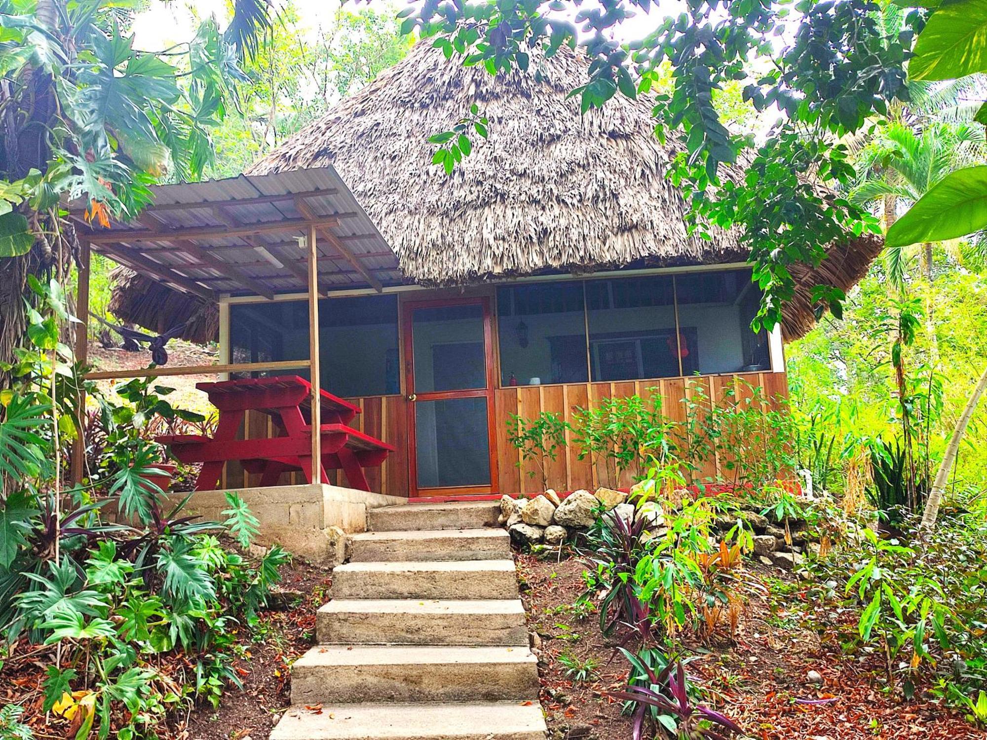 Maya Mountain Lodge ซานอิกนาซิโอ ภายนอก รูปภาพ