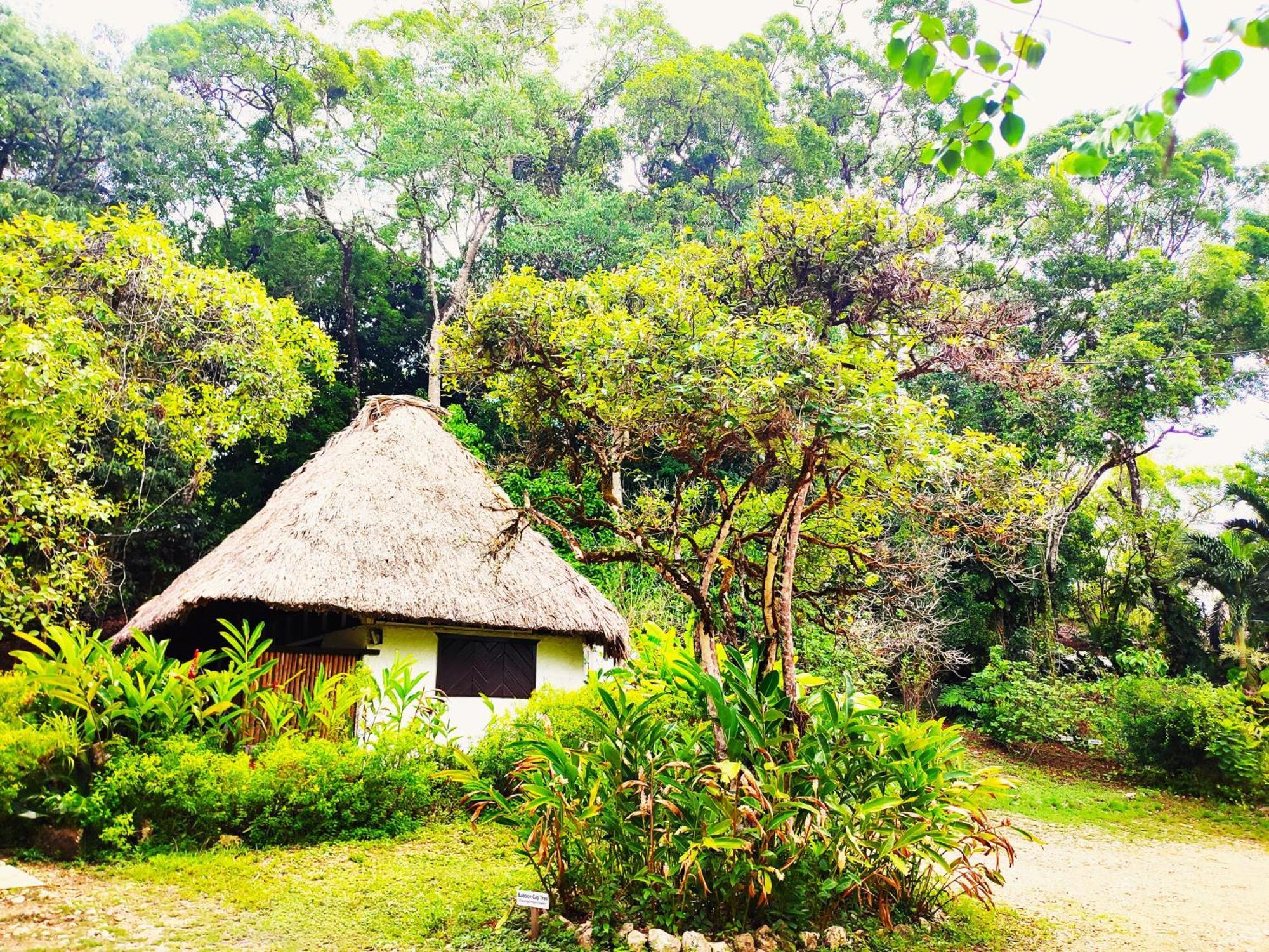 Maya Mountain Lodge ซานอิกนาซิโอ ภายนอก รูปภาพ
