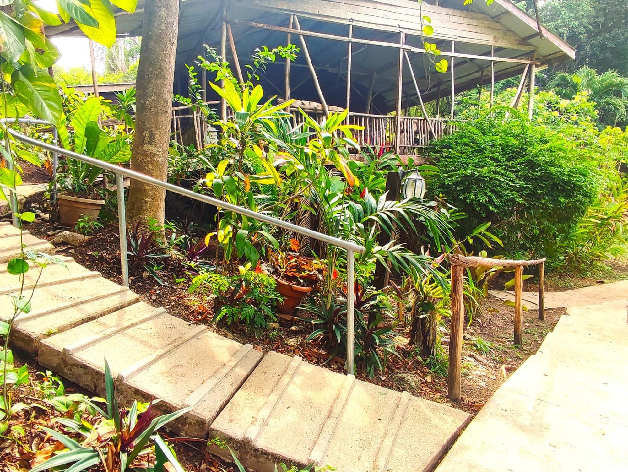 Maya Mountain Lodge ซานอิกนาซิโอ ภายนอก รูปภาพ