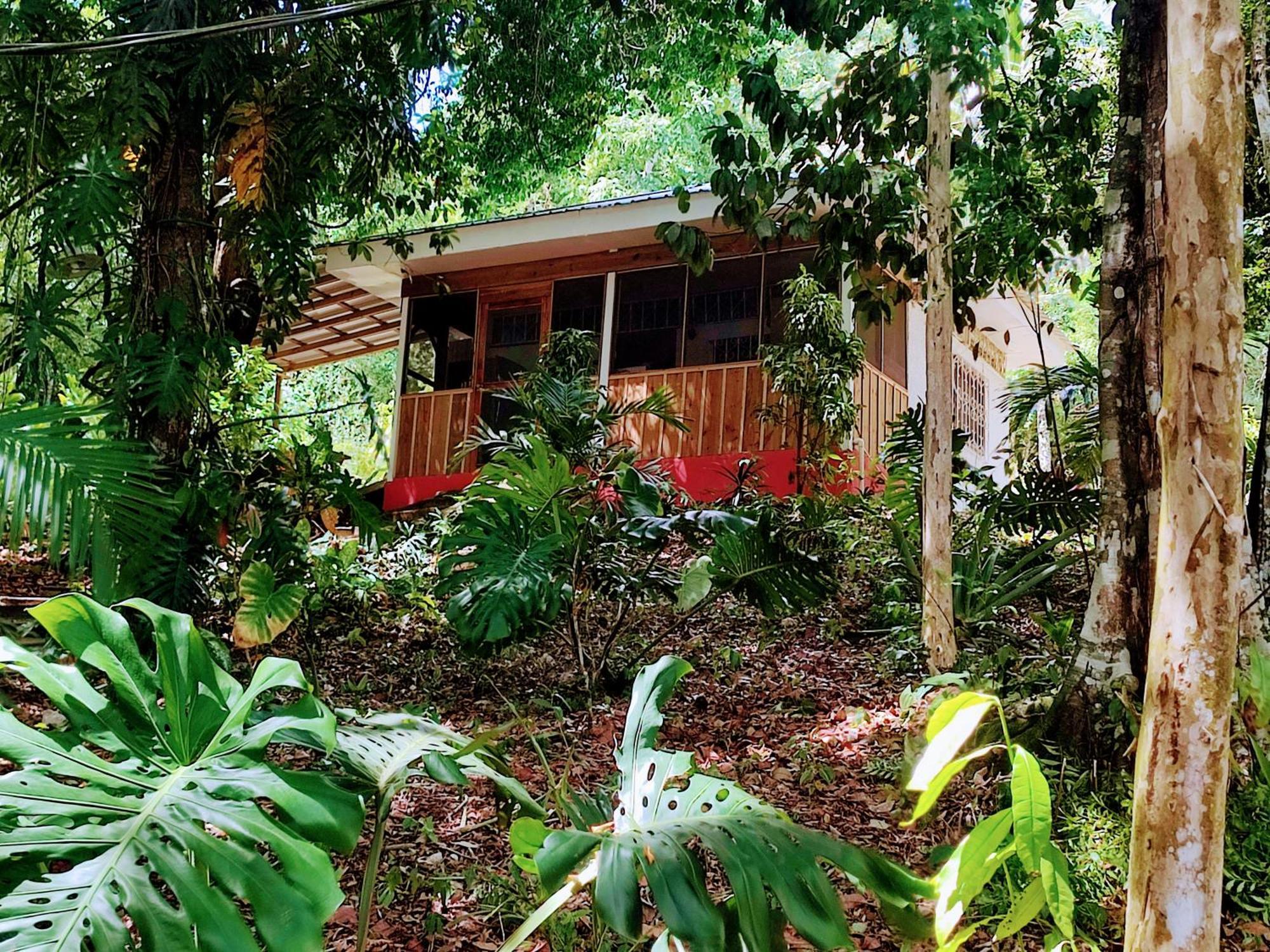 Maya Mountain Lodge ซานอิกนาซิโอ ภายนอก รูปภาพ