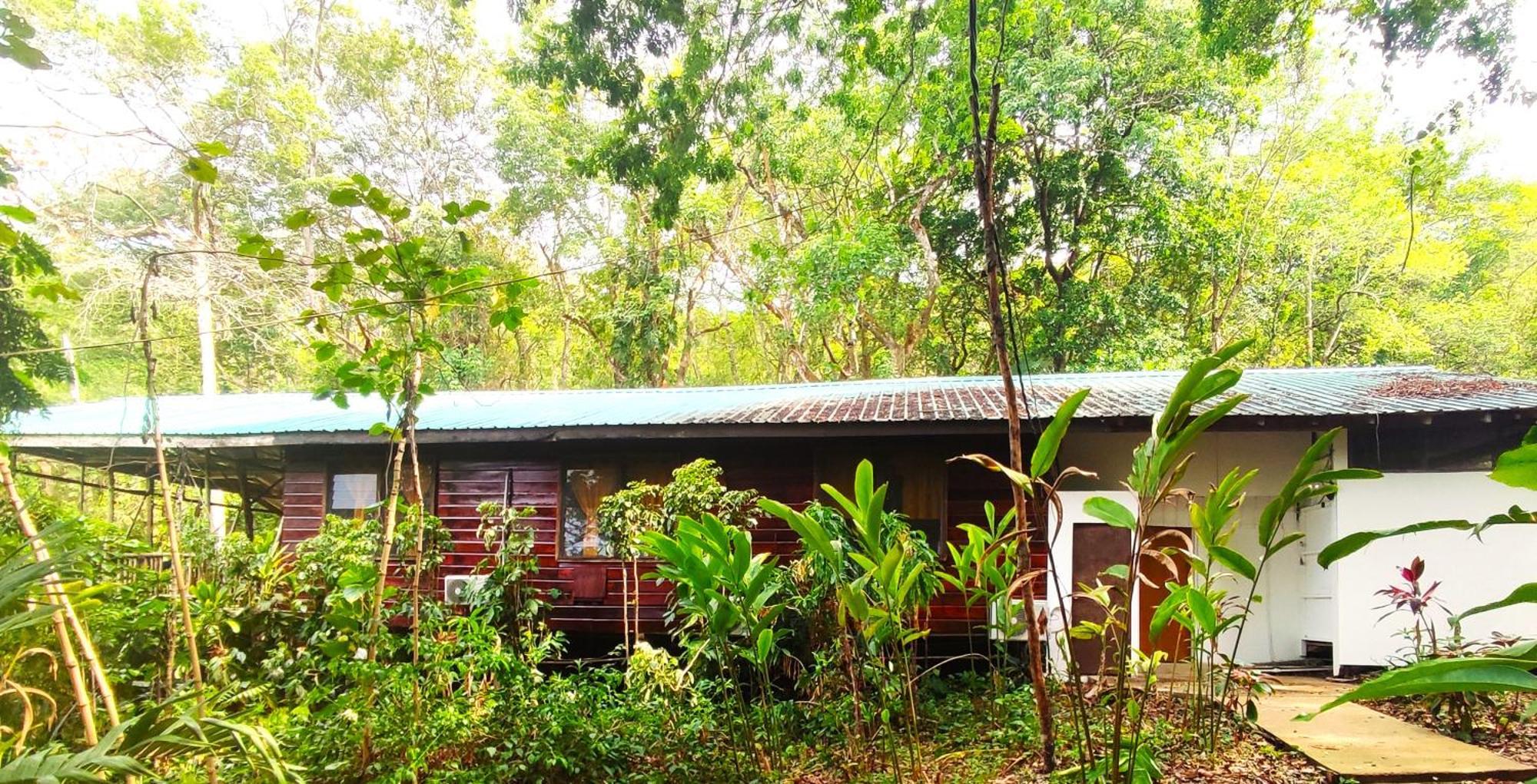 Maya Mountain Lodge ซานอิกนาซิโอ ภายนอก รูปภาพ