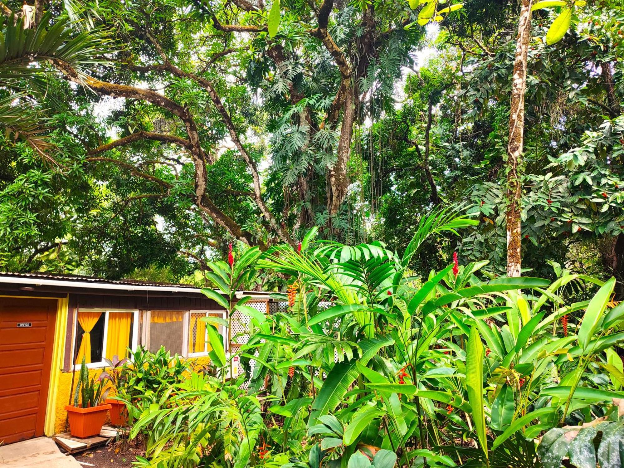 Maya Mountain Lodge ซานอิกนาซิโอ ภายนอก รูปภาพ
