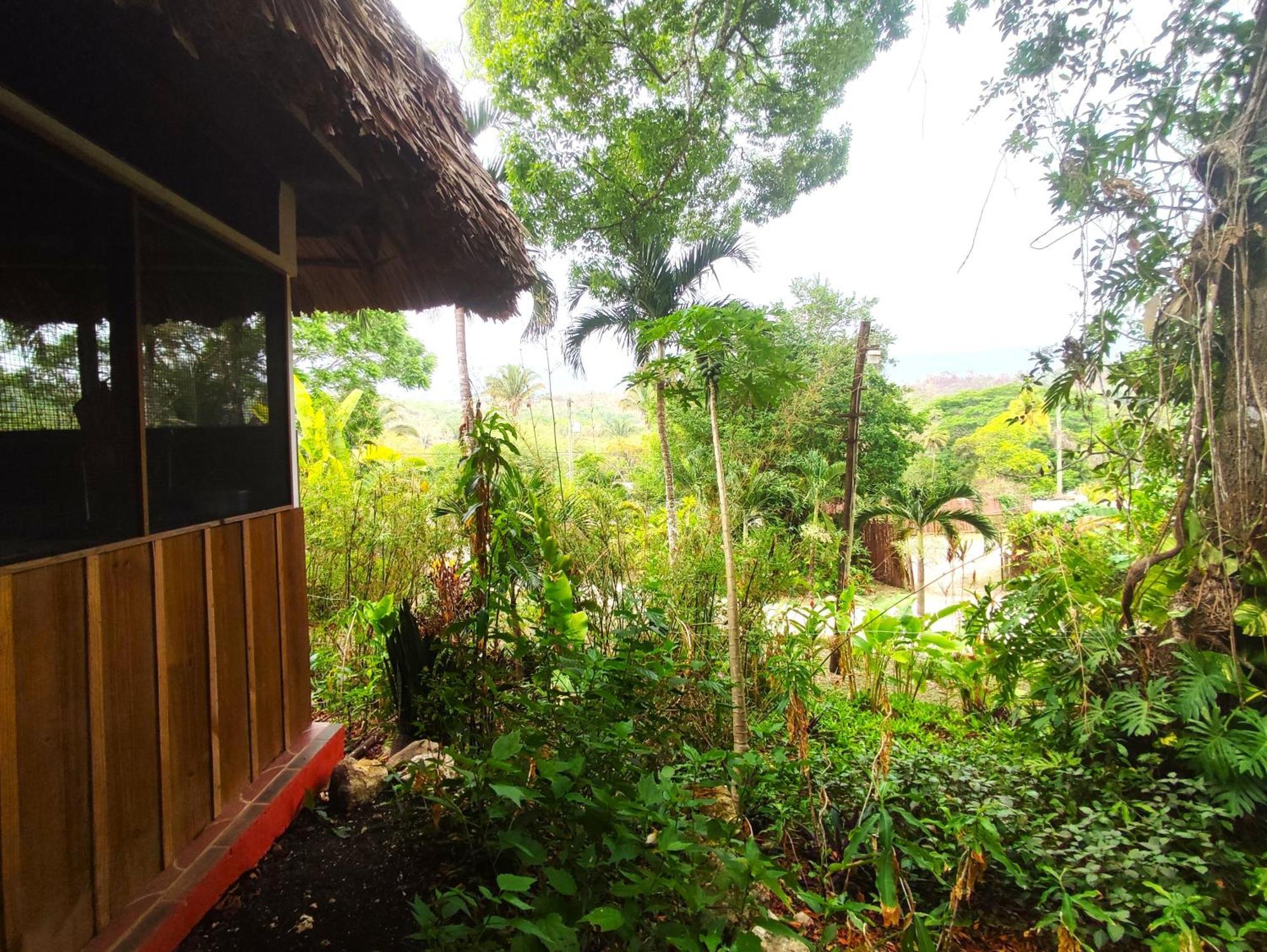 Maya Mountain Lodge ซานอิกนาซิโอ ภายนอก รูปภาพ