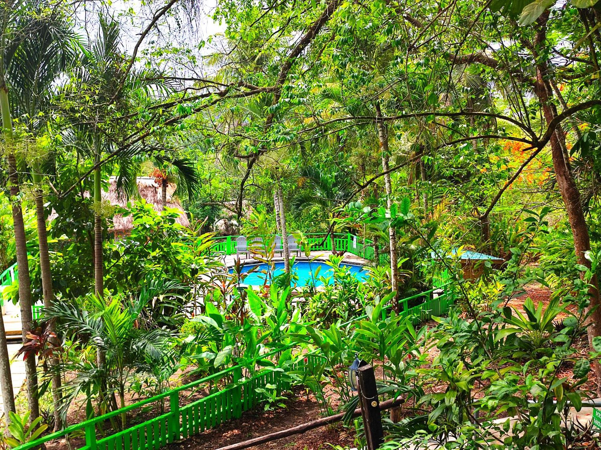 Maya Mountain Lodge ซานอิกนาซิโอ ภายนอก รูปภาพ