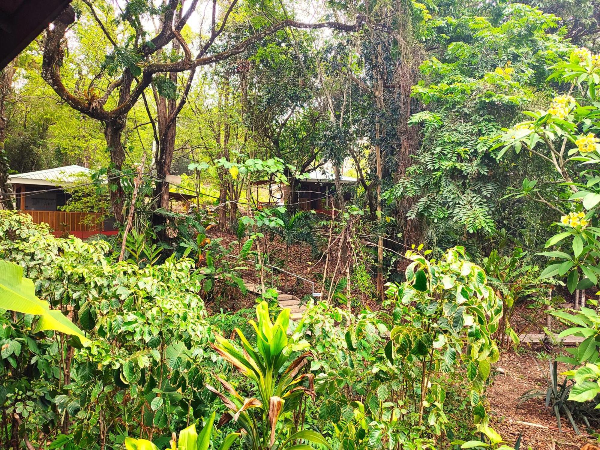 Maya Mountain Lodge ซานอิกนาซิโอ ภายนอก รูปภาพ