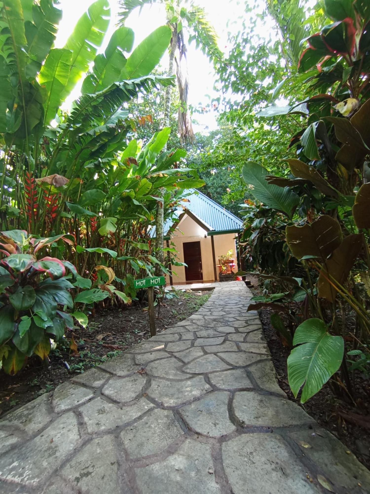 Maya Mountain Lodge ซานอิกนาซิโอ ภายนอก รูปภาพ