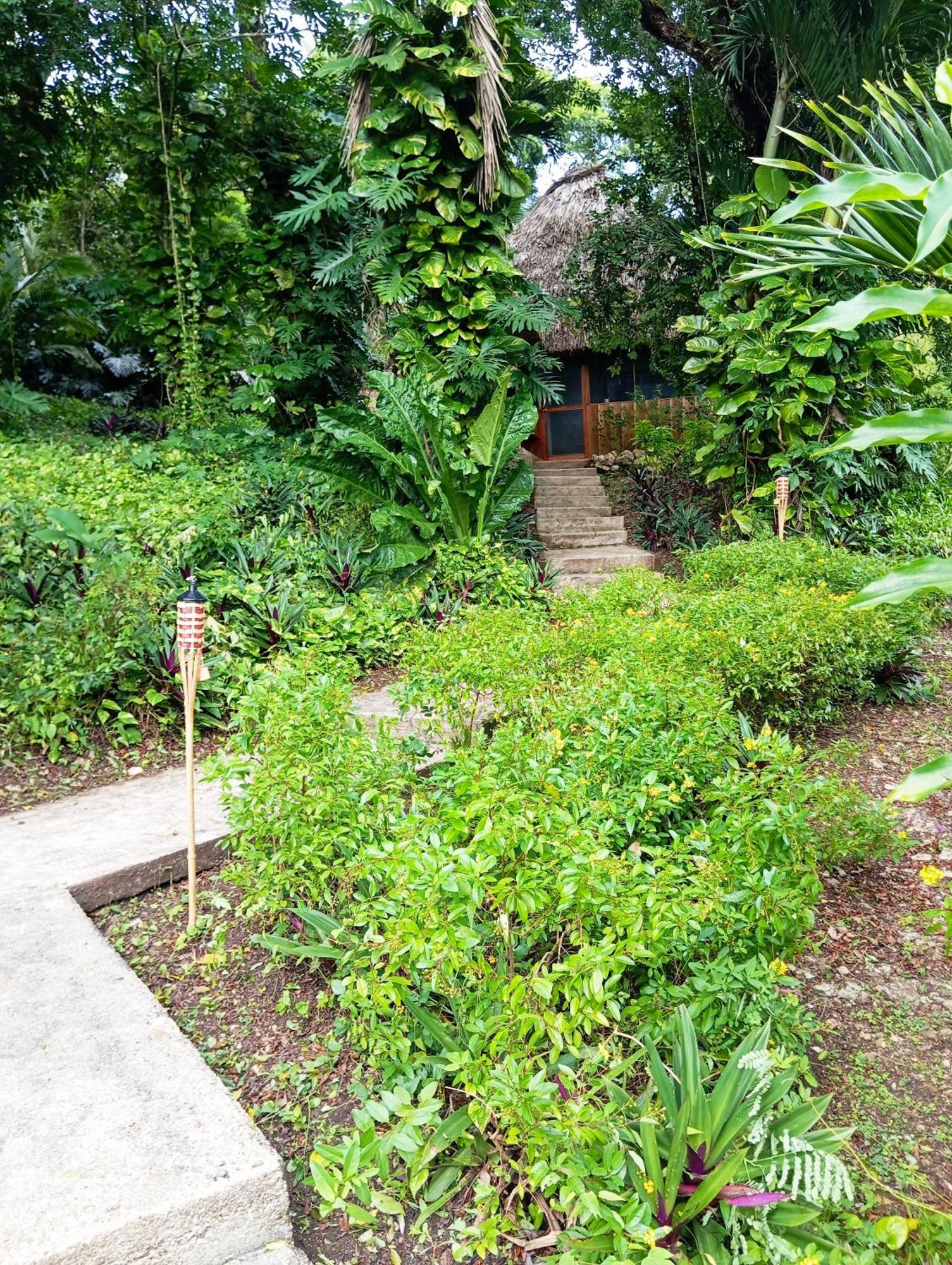 Maya Mountain Lodge ซานอิกนาซิโอ ภายนอก รูปภาพ